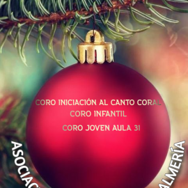 Concierto navideño Coros Ciudad de Almería en el Museo Arqueológico de Almeria el viernes 23 de diciembre 2022
